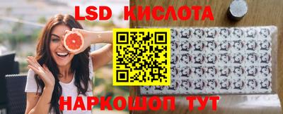 спайс Гай