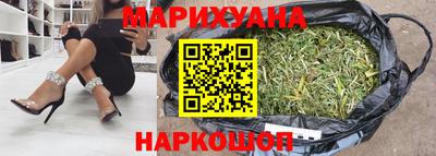 стаф Гатчина