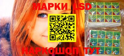 стаф Гатчина