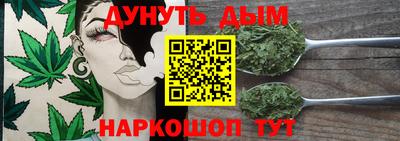 стаф Гатчина