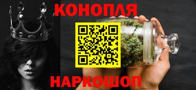 спайс Гай