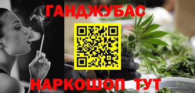 стаф Гатчина