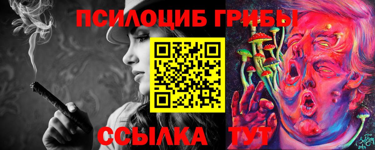 Галлюциногенные грибы GOLDEN TEACHER  Псилоцибиновые грибы Psilocybine cubensis  наркотики  Сергиев Посад  Вход с VPN 